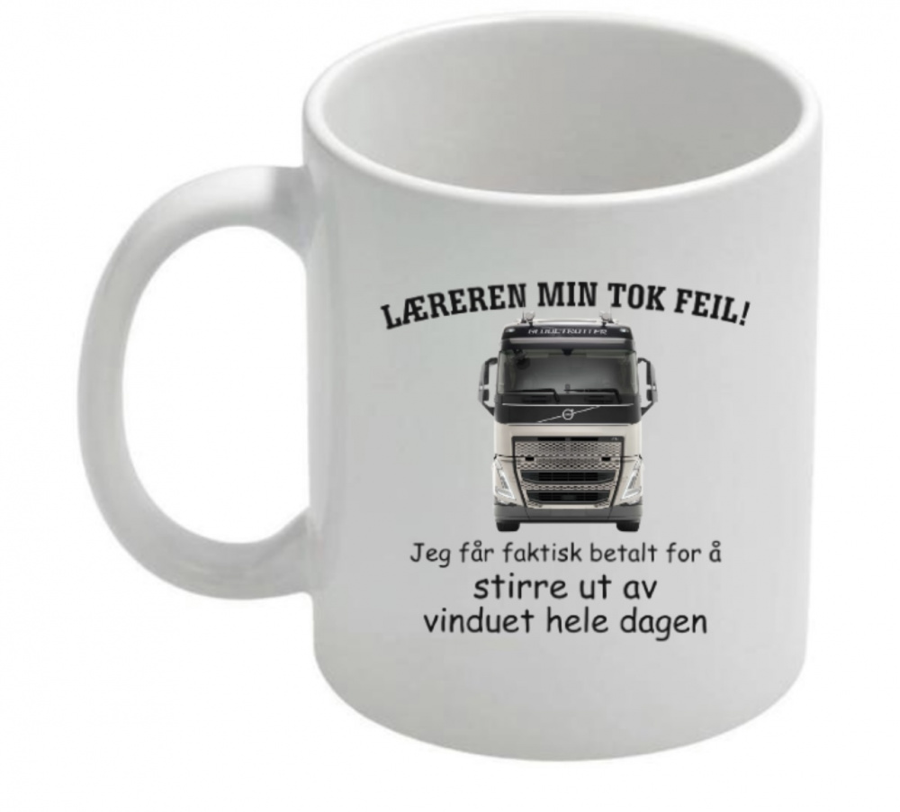 Bilde av LÆREREN MIN TOK FEIL - KOPP